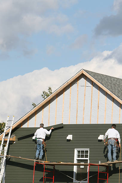 Best Fascia and Soffit Installation  in Brownsville, PA